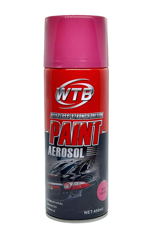 WTB Paint Aerosol Bright Peach - 450ml